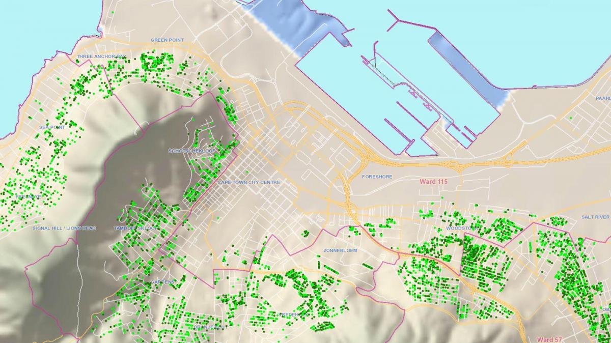 mapa miasta cape Town podopiecznych